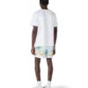 Aloha Swim Shorts