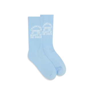 Beauty of the World Socks