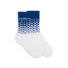 Beyond Destiny Gradient Socks