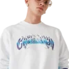 Blue Fade Sweatshirt Blue Fade Sweatshirt