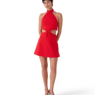 Cut out Dress
