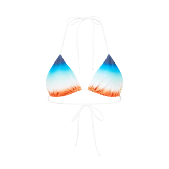 Gradient Bikini Top