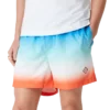 Gradient Jacquard Swim Shorts Gradient Jacquard Swim Shorts