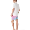Gradient Printed Swim Shorts Gradient Printed Swim Shorts
