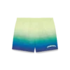 Gradient Swim Shorts Gradient Swim Shorts
