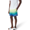 Gradient Swim Shorts Gradient Swim Shorts