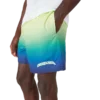 Gradient Swim Shorts Gradient Swim Shorts