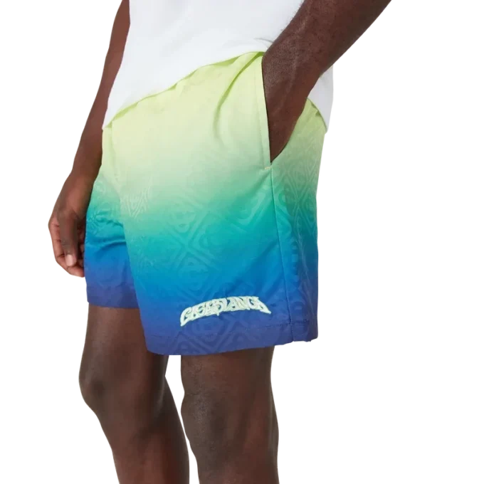 Gradient Swim Shorts Gradient Swim Shorts