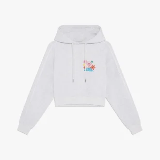 Grey Embroidered Cropped Hooded Sweatshirt