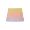 Ping Pong Gradient Silk Skirt