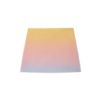 Ping Pong Gradient Silk Skirt
