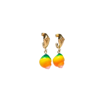 Shell Drop Earrings Shell Drop Earrings